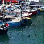 Pexe Na Mar בית נופש *