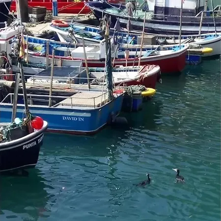 Pexe Na Mar Casa de Férias *