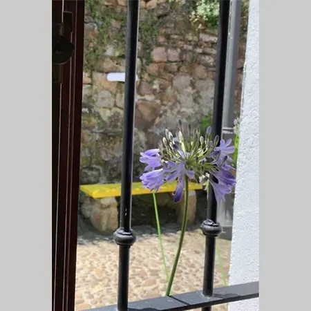 Dom wakacyjny Pexe Na Mar