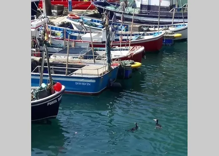 Pexe Na Mar Hébergement de vacances *